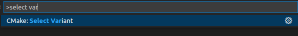 VS Code Selecting a Variant